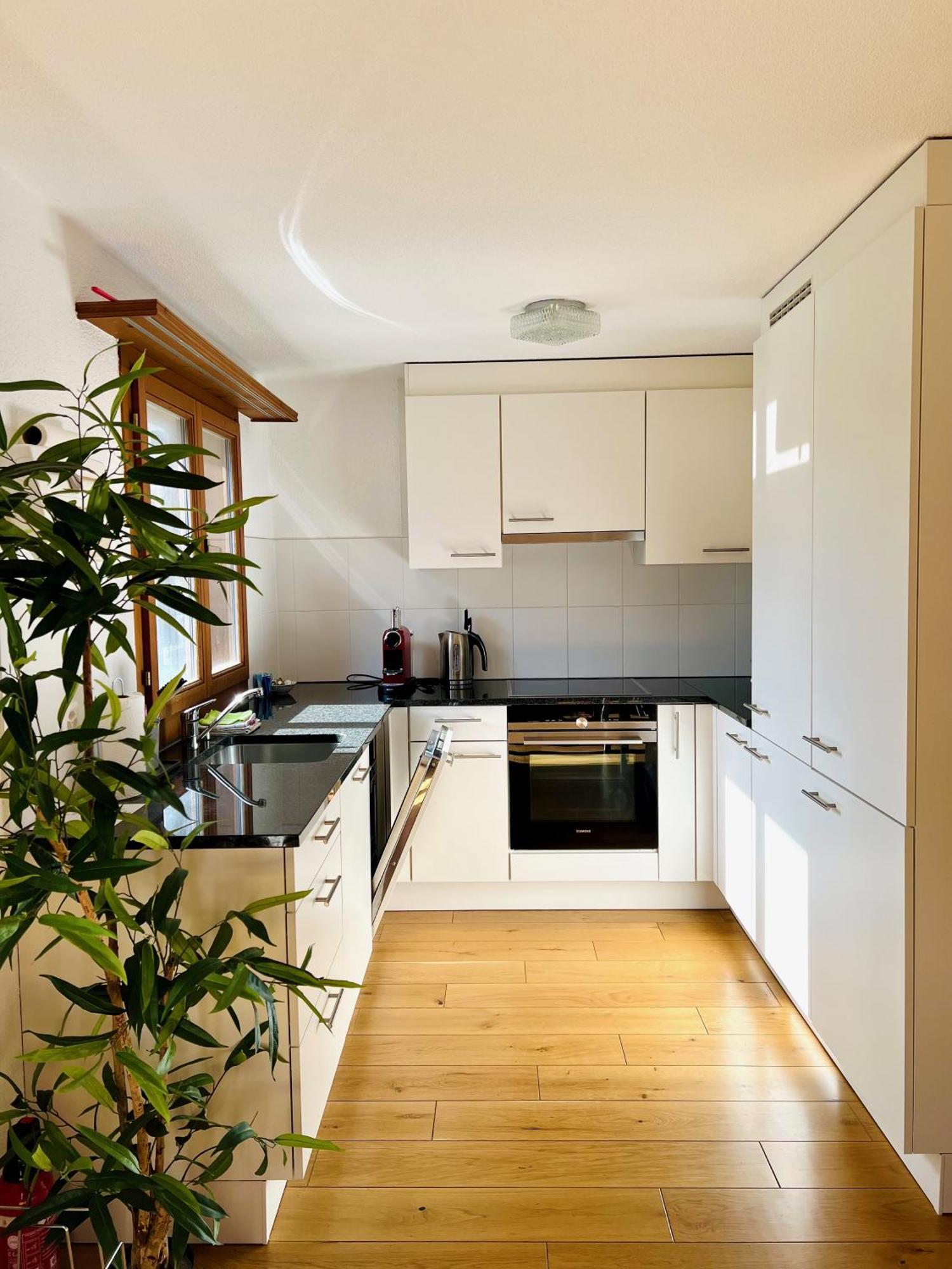 Maisonette 4.5 Zimmer, Naehe Ballenberg Hofstetten bei Brienz Екстериор снимка